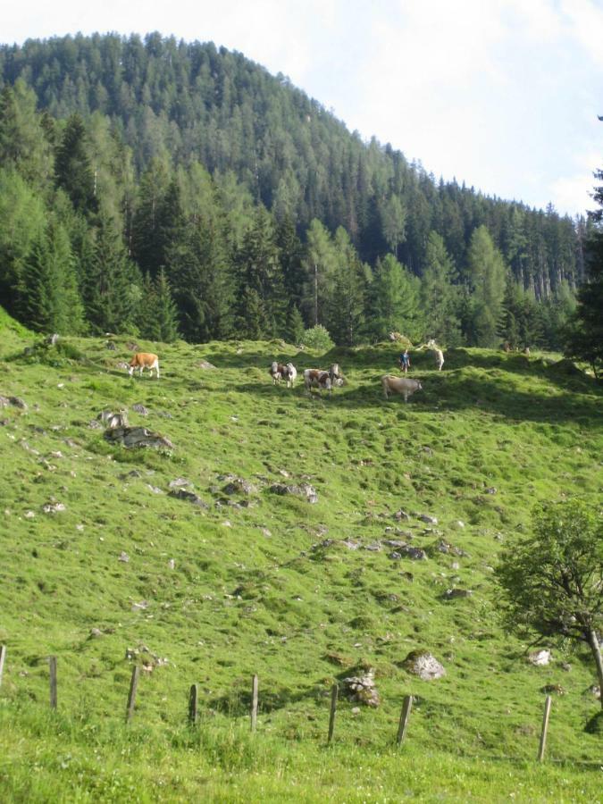 Pension Hedegghof Гроссарль Экстерьер фото